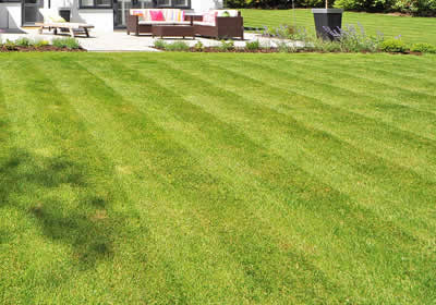 Best Lawn Mowing Services in Killeen