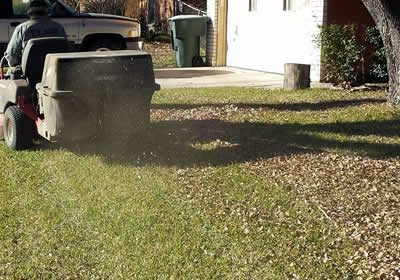 Best Leaf Removal Services in Killeen