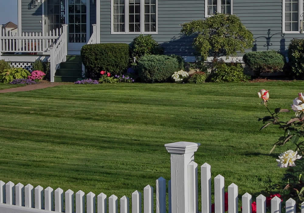 Local lawn mowing online service