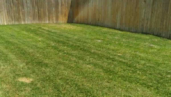 Professional Lawn Edging Services Harker Heights TX