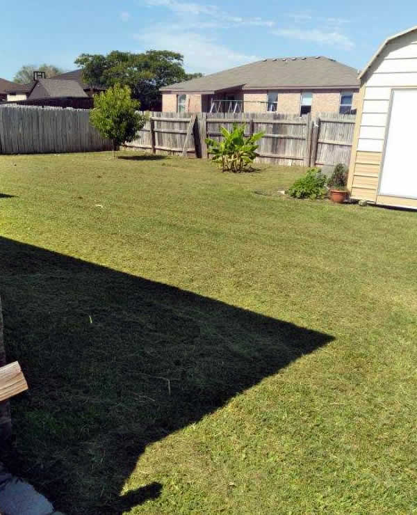 Professional Lawn Mowing Services Temple TX