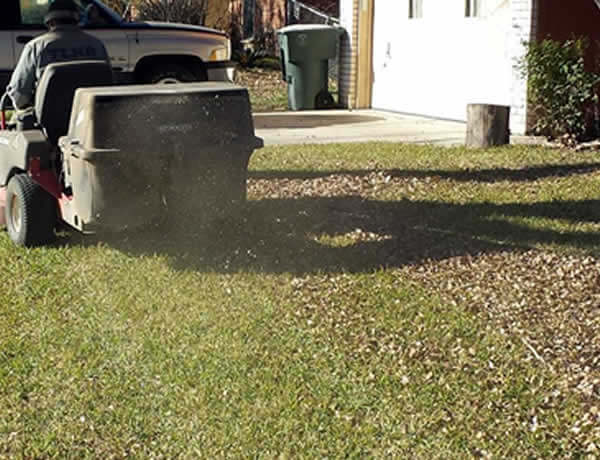 Professional Leaf Removal Services Nolanville TX