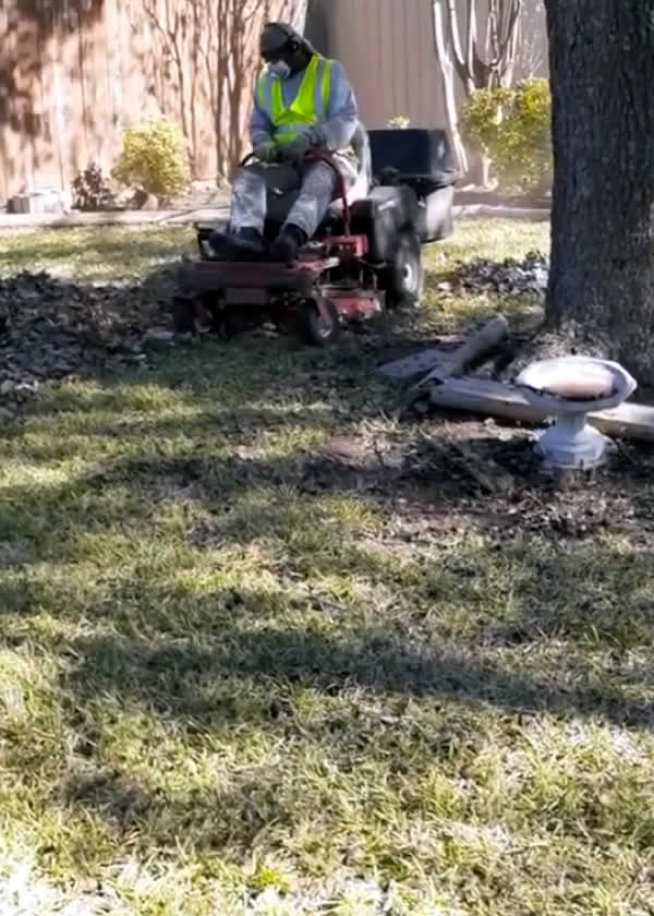 Professional Leaf Removal Services Nolanville TX